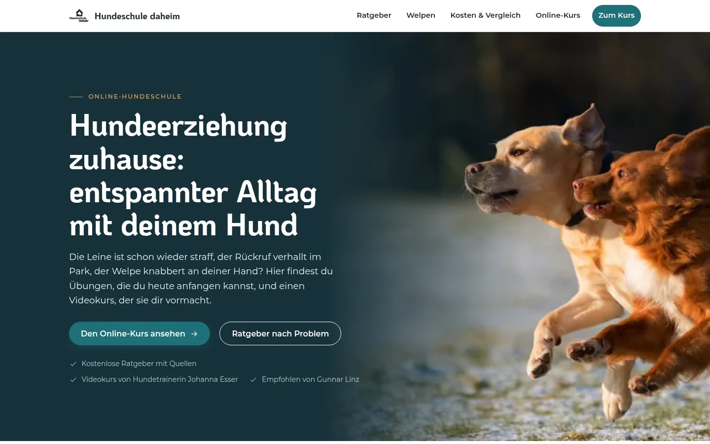 Screenshot der Website Hundeschule daheim: Startseite mit zwei rennenden Hunden